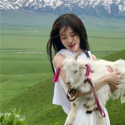 绑架猫王
